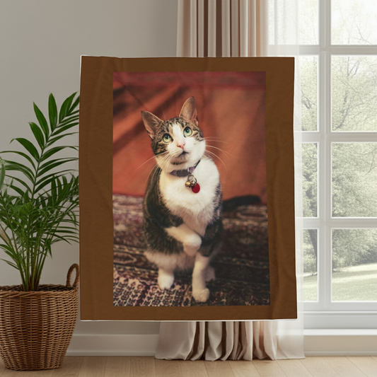 Cozy Cat Velveteen Plush Blanket - Perfect for Pet Lovers