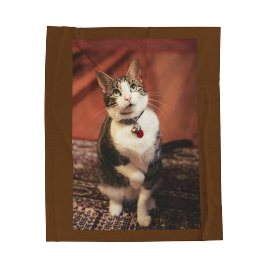 Cozy Cat Velveteen Plush Blanket - Perfect for Pet Lovers
