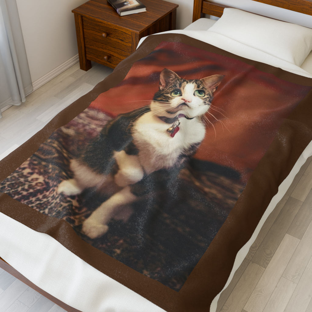 Cozy Cat Velveteen Plush Blanket - Perfect for Pet Lovers